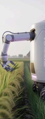 Innovative solutions